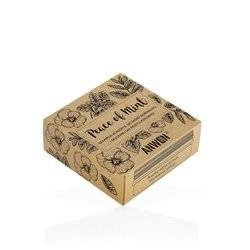 ANWEN Peace Of Mint Szampon W Kostce Do Skóry Normalnej I Skłonnej Do Przetłuszczania Się Mięta 75g + Puszka