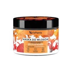 VIS PLANTIS Maska Do Włosów Osłabionych Zabiegami Stylizacyjnymi, Pestki Dyni, Pszenica 300ml