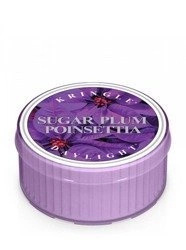 KRINGLE Daylight Sugar Plum Poinsettia